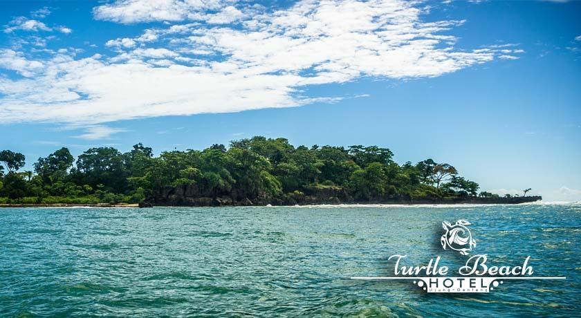 Turtle Beach Hotel Ujunggenteng Номер фото